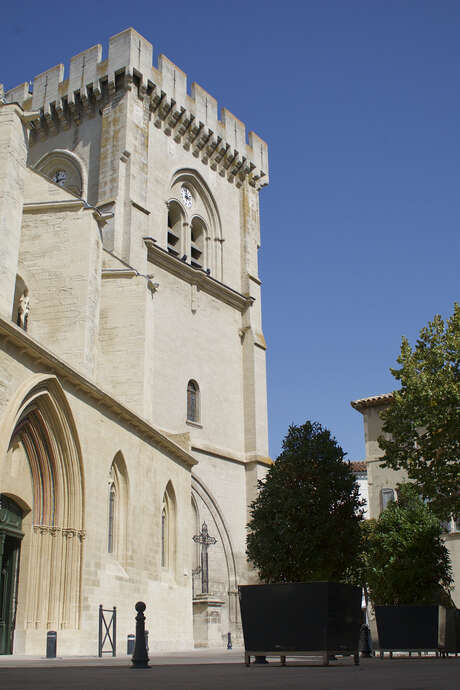 Cycle "Il était une fois Villeneuve : la Collégiale Notre Dame"