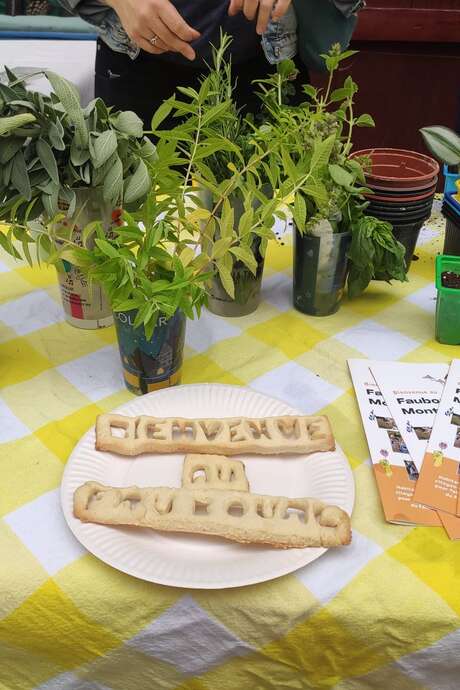 Chantier participatif : le Faubourg Montmélian se végétalise !