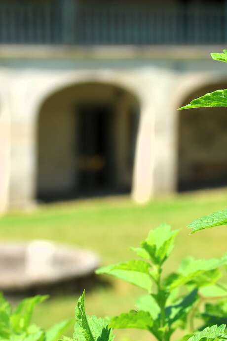 Visite guidée archéo