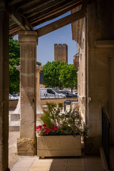 Visite de la Tour dite "des Templiers"