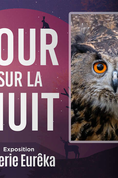 Conférence : Les rapaces nocturnes