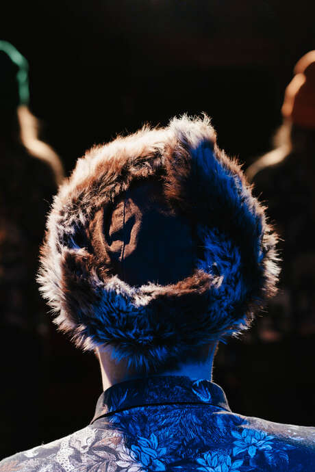 Spectacle Soudain dans la forêt profonde