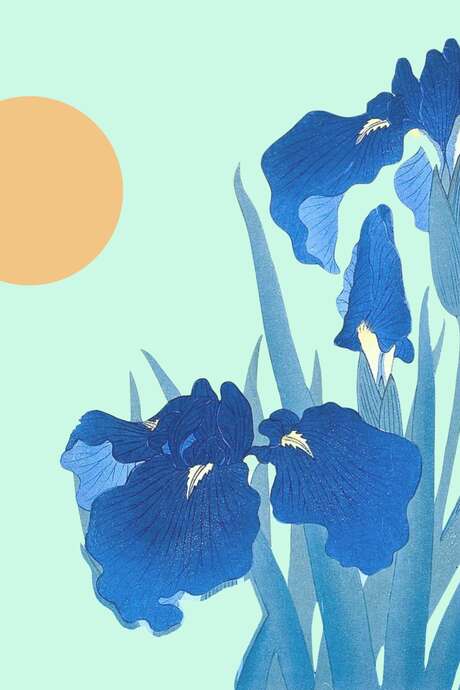 Concert chant choral Muances et Sirocco