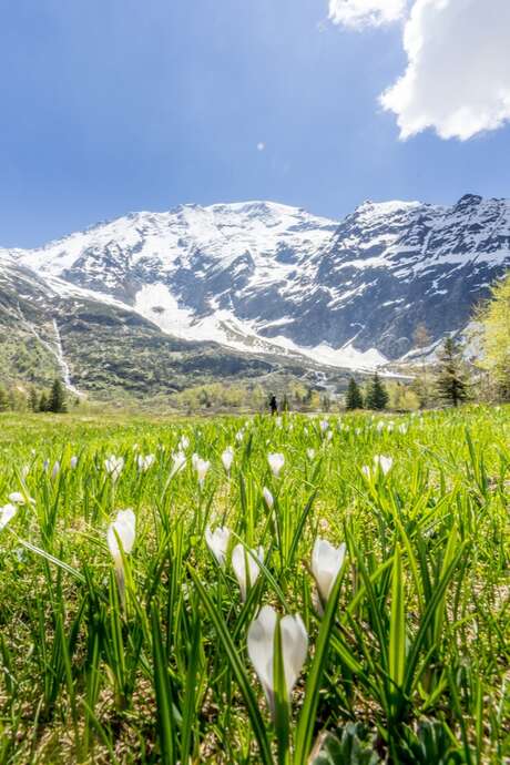 Hiking Conference: History and Heritage of the Miage Valley - Nature Film Festival