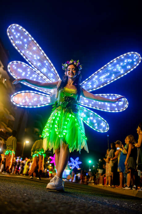 La promenade en fête