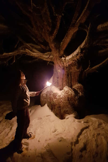 Diner soirée insolite