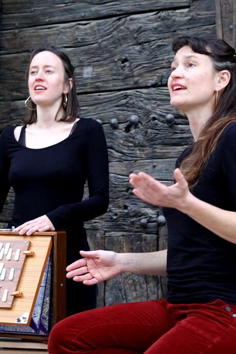 Midi-sandwich - Albionnes