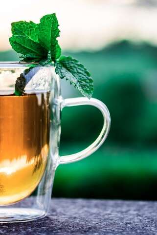 Atelier de création, tisane et thé