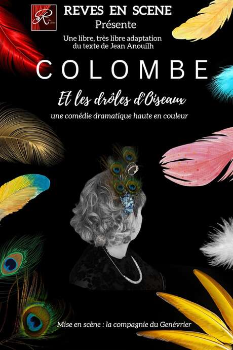 Colombe et les drôles d'oiseaux
