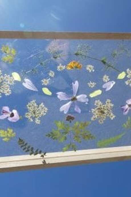 Atelier : Art Floral (8-13 ans) - Maison du Marais de Lavours