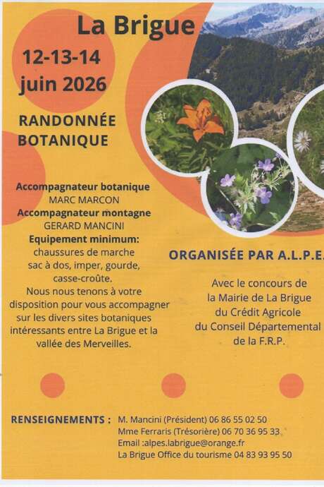 Rando stage botanique, Association A.L.P.E.S
