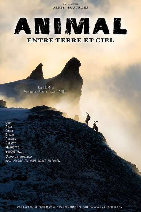 Screening of the Lapied film "Animal entre terre et ciel"