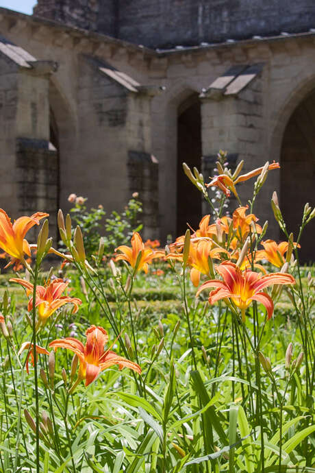 Dimanches au jardin : création d'une carte à semer