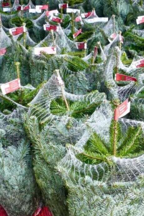 Marché des Sapins