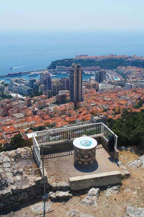 Discovering the Moneghetti