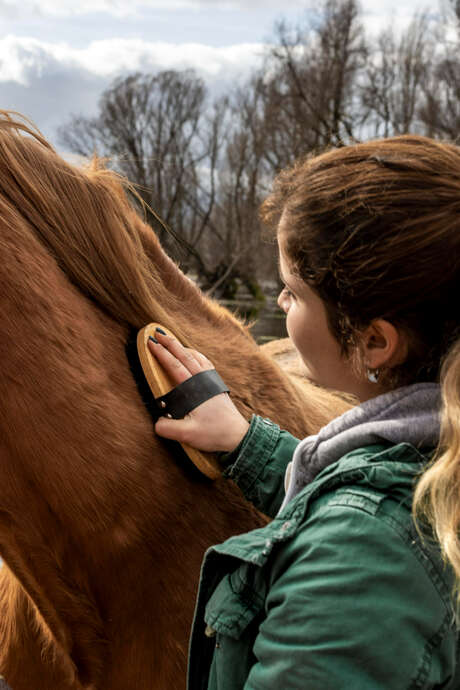 Poneys de Delphine dans la ville Du 15 au 23 déc 2024