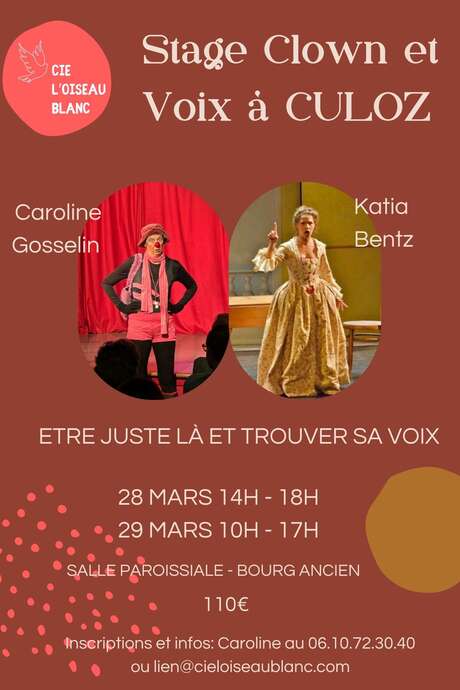 Stage clown et voix