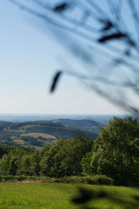 Randonnée gourmande à Châtel-Montagne – Dégustation de miels chez Gaël Perroy (près de Vichy, Allier)