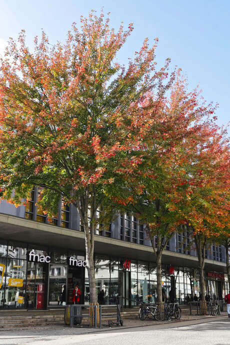 Le coin des enfants: Concours d'architectes (9-12 ans)