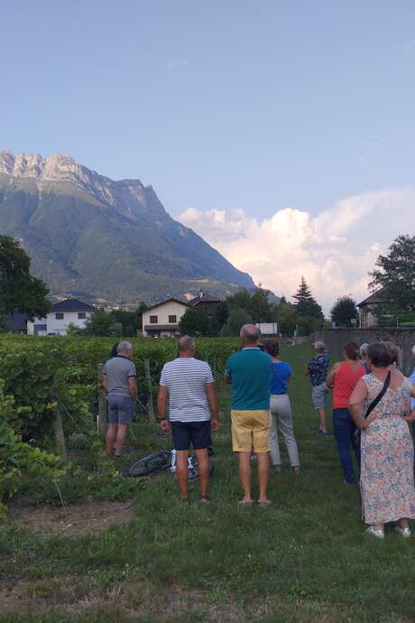 Vignobles en scène : Animations et dégustations au Domaine de Méjane