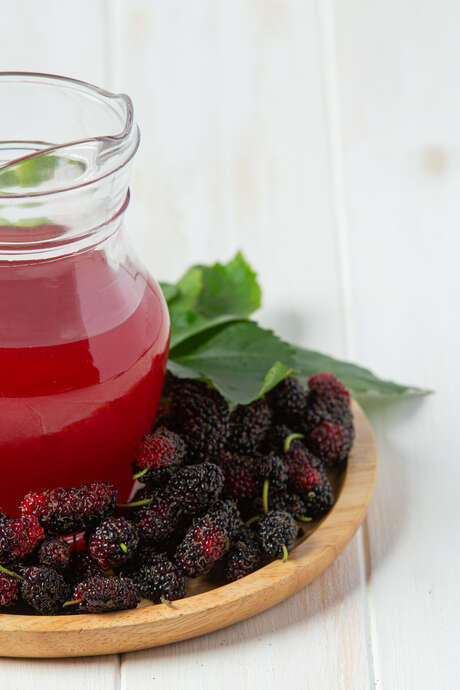 Dégustation de sirops locaux au magasin des producteurs