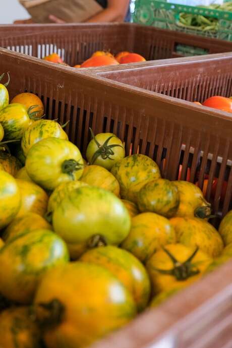 Mercato agricolo di Montfavet