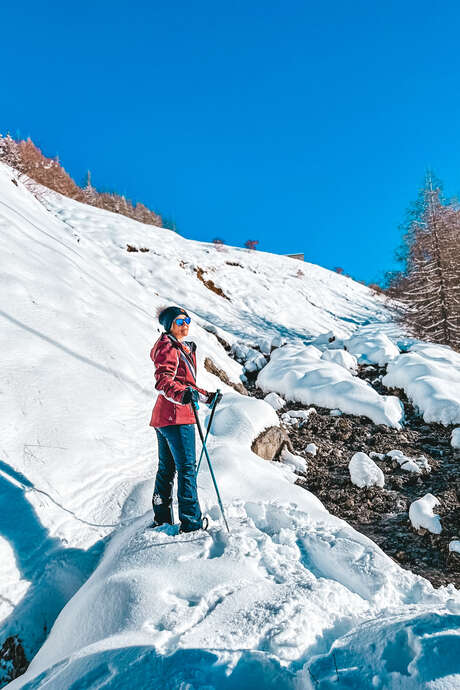 Randonnée raquette : Animaux de montagne