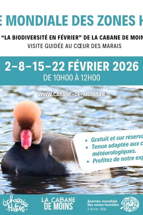 Guided tour: Biodiversity in February