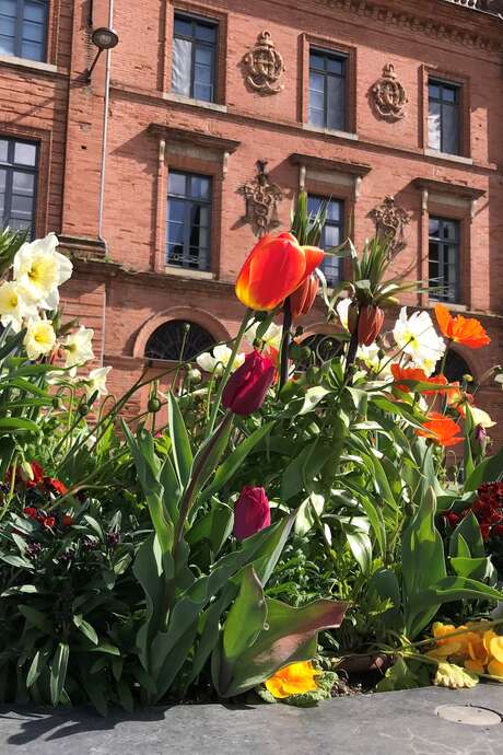 Muséum d'Histoire Naturelle de Montauban