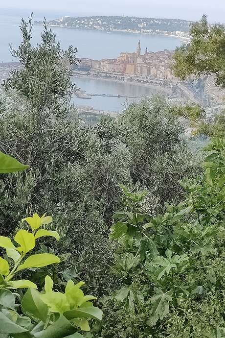 Randonnée urbaine et halte dans une exploitation agricole