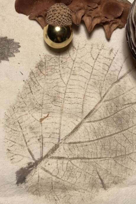 Atelier Tataki Zomé · Impressions végétales japonaises