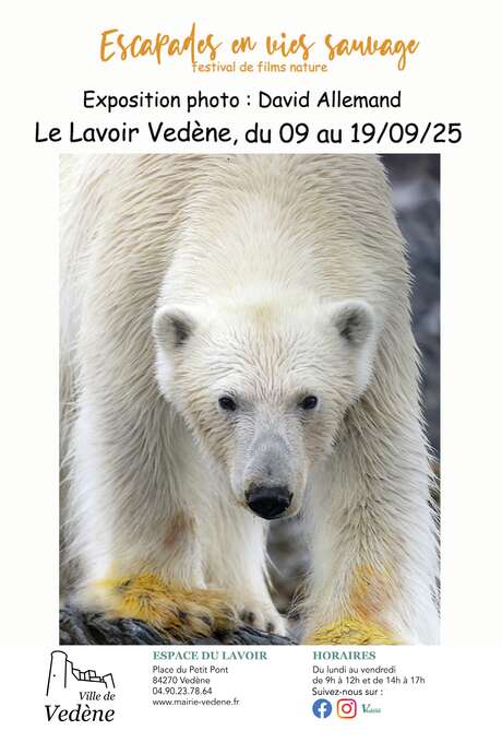 Exposition de photographies de David Allemand
