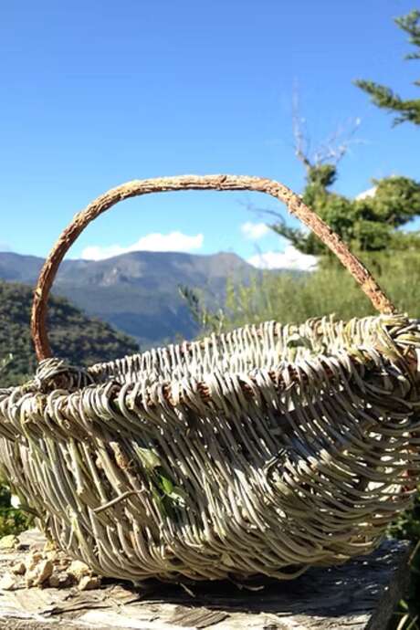 Atelier de Vannerie rustique - corbeilles et paniers