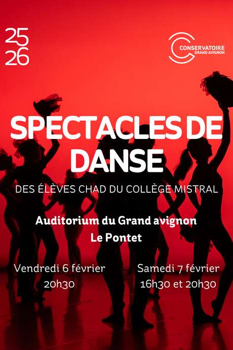 Spectacle de danse de la classe à horaires aménagés du collège Mistral