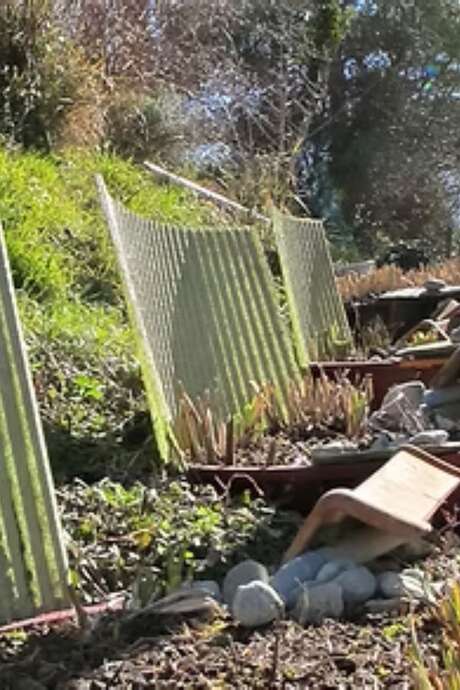 Phyto-Purification Workshop - Theory and project study