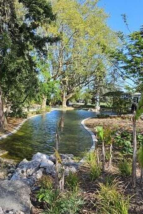 Visite commentée de la restauration du Rocher des Doms