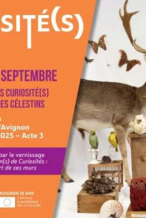 Présentation de l’ACTE 3 d’Avignon Terre de Culture 2025