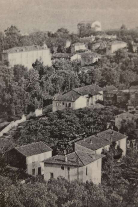 Une amitié boulversée