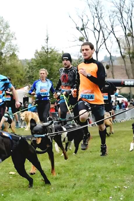 Sirius des fées - Championnat régional Auvergne Rhône Alpes de Canicross