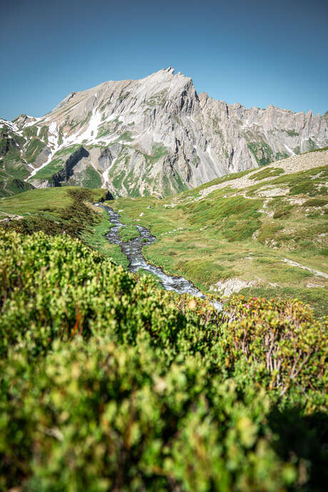 A la découverte de la réserve naturelle