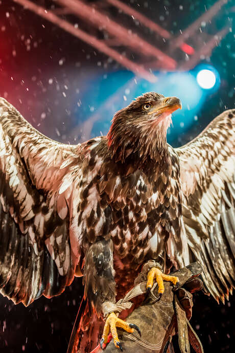 Cérémonie de remise des prix du slalom Géant du 70e Critérium