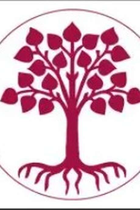 Palestine en éclats