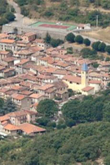 St Bernard's Day festivities: Belote competition