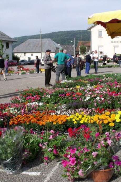 Marché aux fleurs à Hotonnes