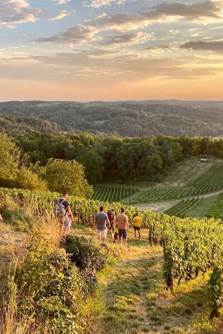 Balade dégustation dans les vignes
