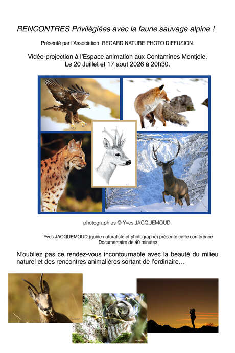 "Rencontres privilégiées avec la faune sauvage alpine" avec Yves Jacquemoud