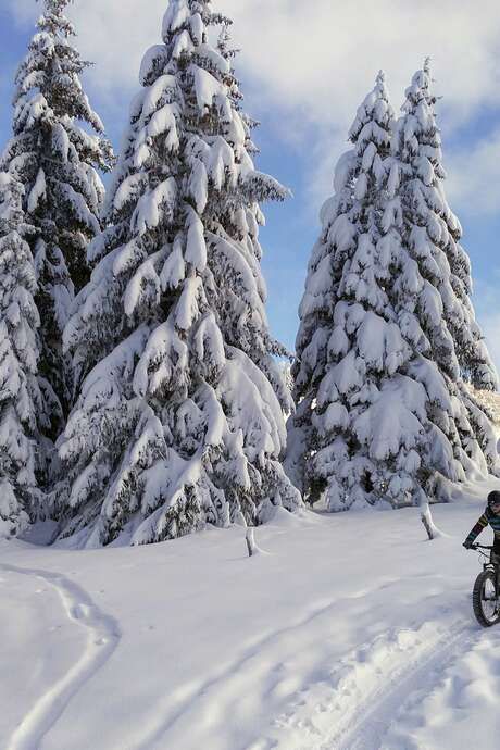Fatbike électrique : la grande traversée du Revard à la Féclaz