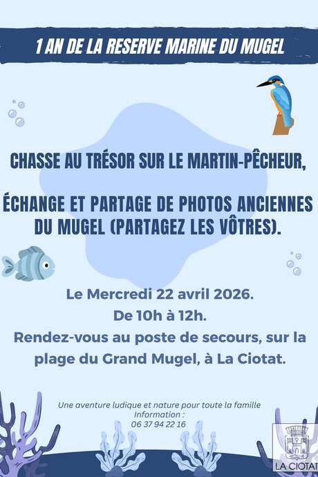 Chasse au trésor sur le martin pêcheur