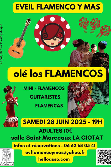 Olé Los Flamencos Show