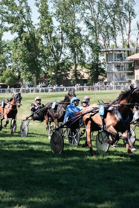 Visite guidée d'un hippodrome